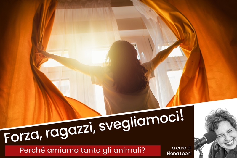 Perché amiamo tanto gli animali?